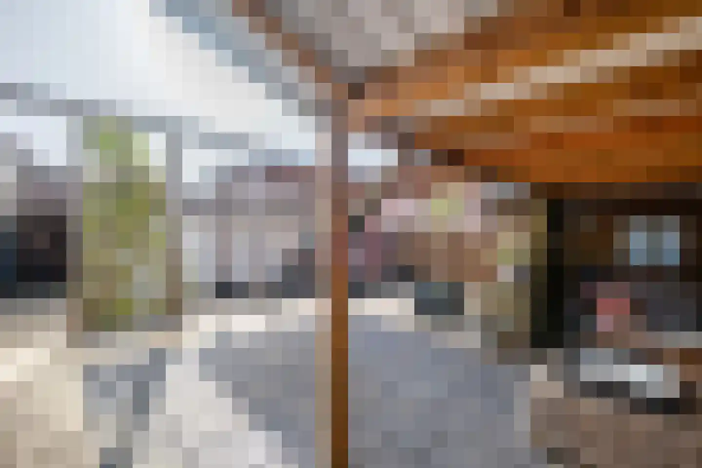 Stuivenbergstraat 62 Genemuiden thumbnail 33