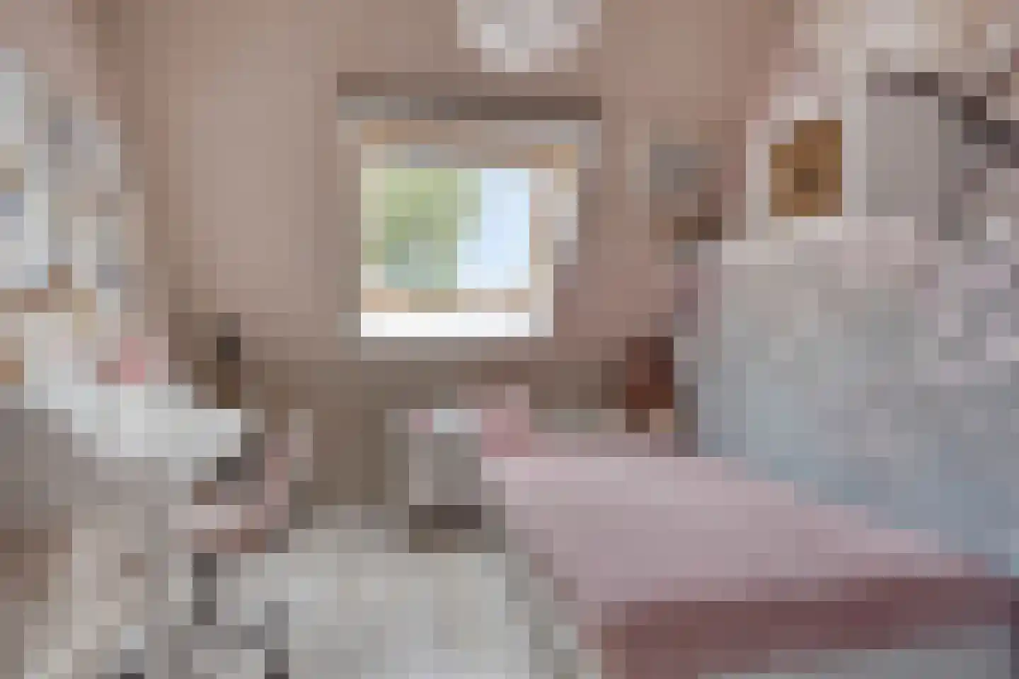 Stuivenes 5 Rhenen thumbnail 25