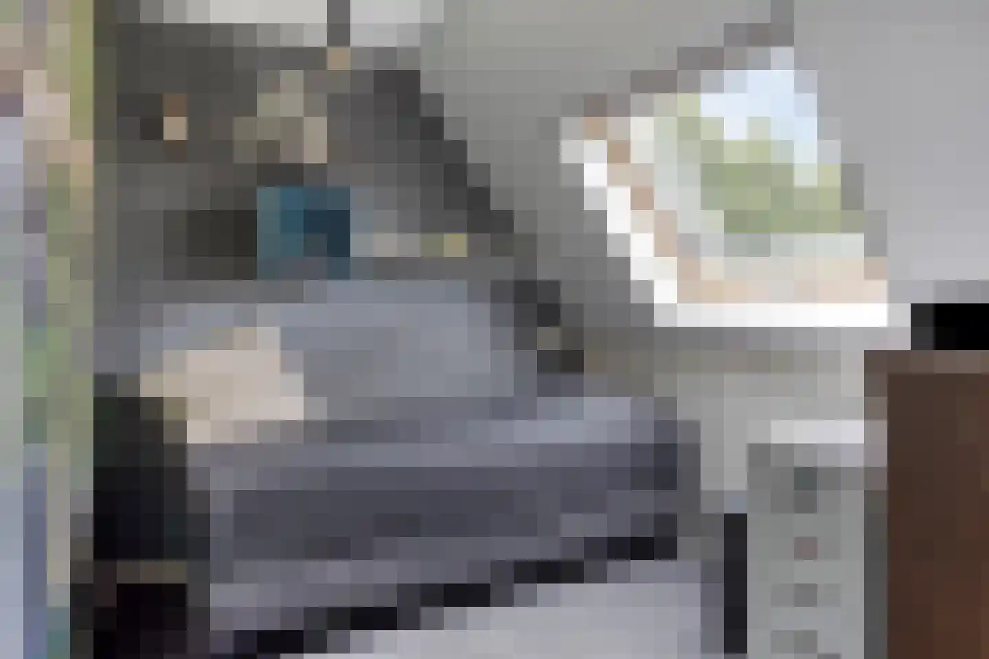 Stuivenes 5 Rhenen thumbnail 31