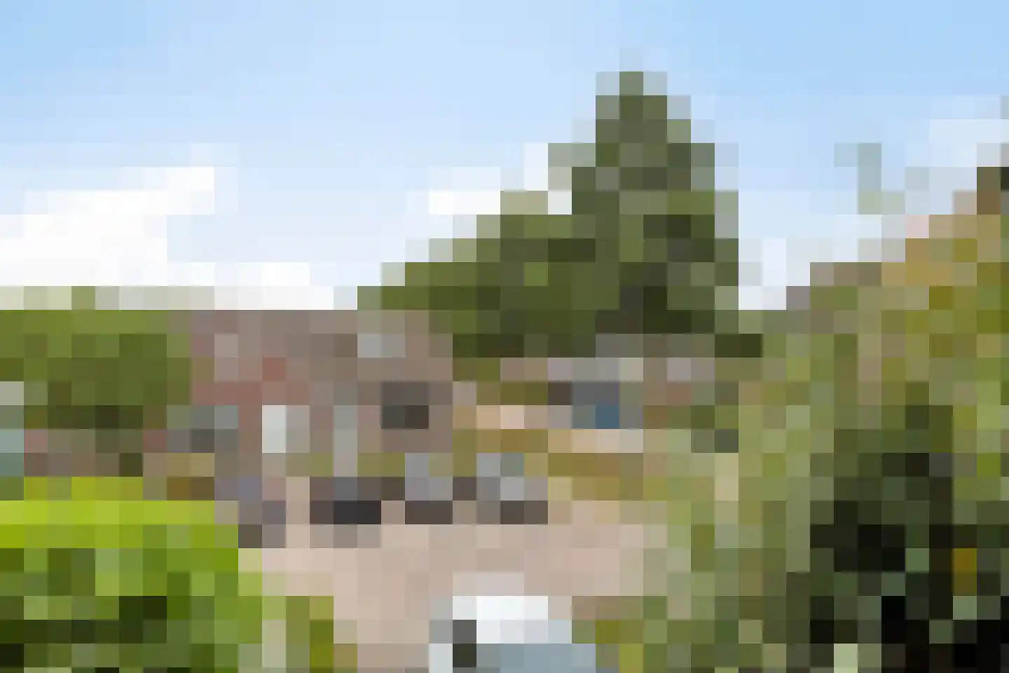Stuivenes 5 Rhenen thumbnail 34