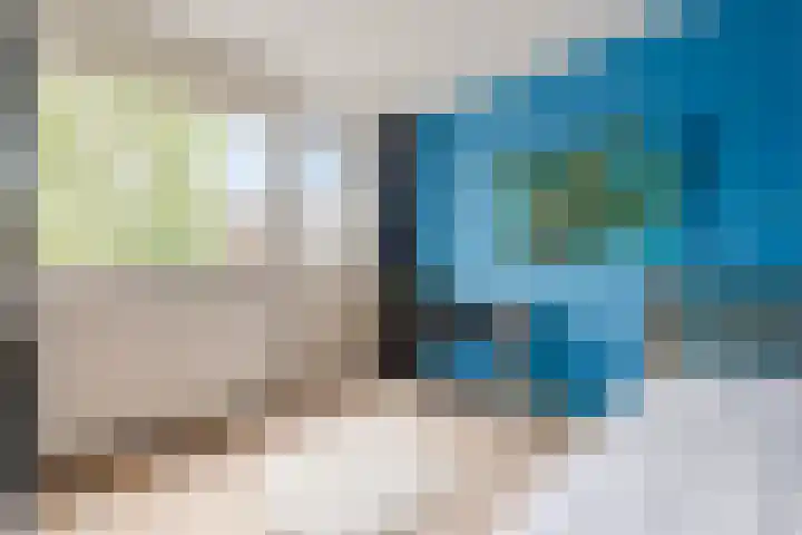 Stuiverakker 10 Koog aan de Zaan thumbnail 13