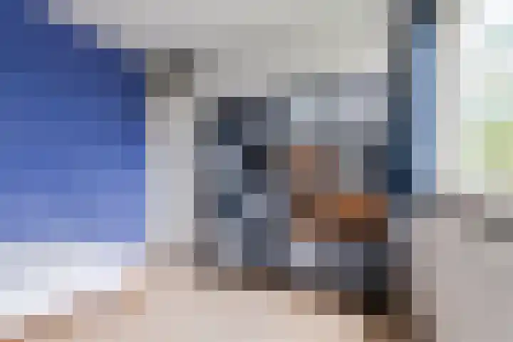 Stuiverakker 10 Koog aan de Zaan thumbnail 15