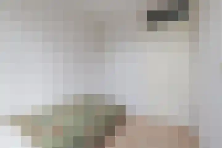Stuiverakker 10 Koog aan de Zaan thumbnail 17