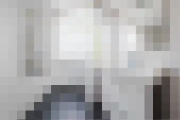 Stuiverakker 10 Koog aan de Zaan thumbnail 18