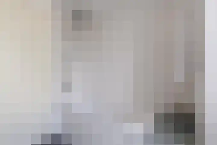 Stuiverakker 10 Koog aan de Zaan thumbnail 19
