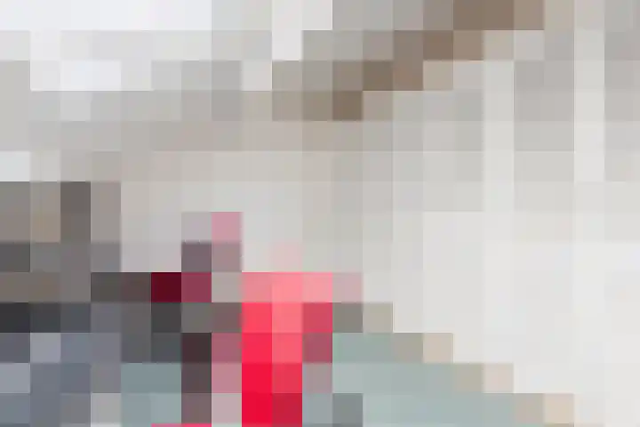 Stuiverakker 10 Koog aan de Zaan thumbnail 24