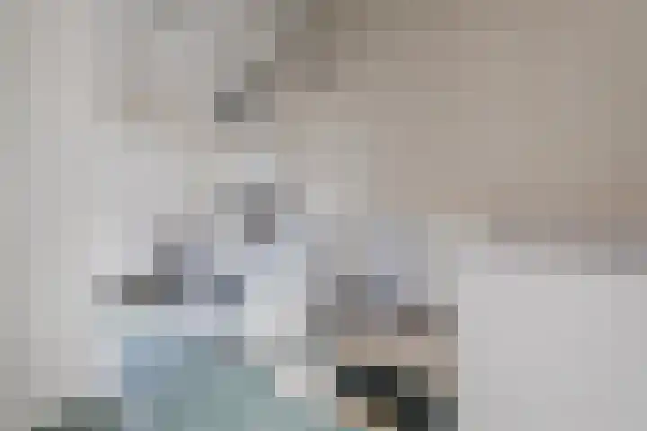 Stuiverakker 10 Koog aan de Zaan thumbnail 25