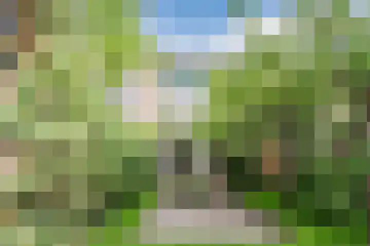 Stuiverakker 10 Koog aan de Zaan thumbnail 26