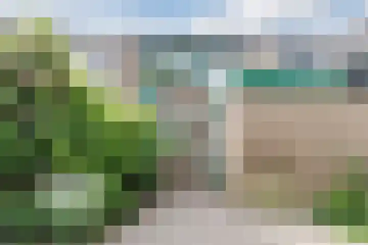 Stuiverakker 10 Koog aan de Zaan thumbnail 27