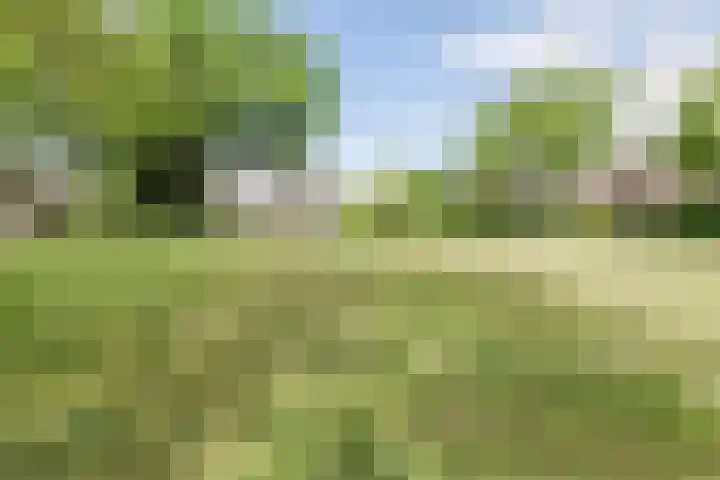 Stuiverakker 10 Koog aan de Zaan thumbnail 28