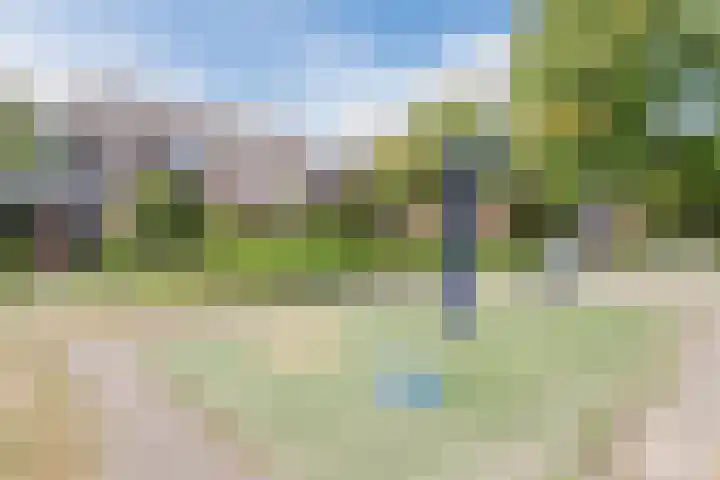 Stuiverakker 10 Koog aan de Zaan thumbnail 29