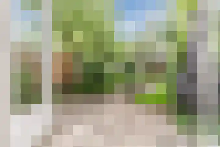 Stuiverakker 10 Koog aan de Zaan foto 3