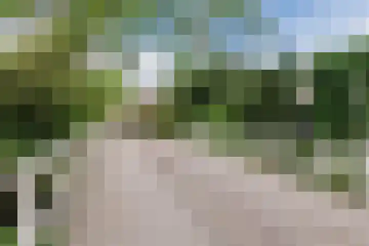 Stuiverakker 10 Koog aan de Zaan thumbnail 30