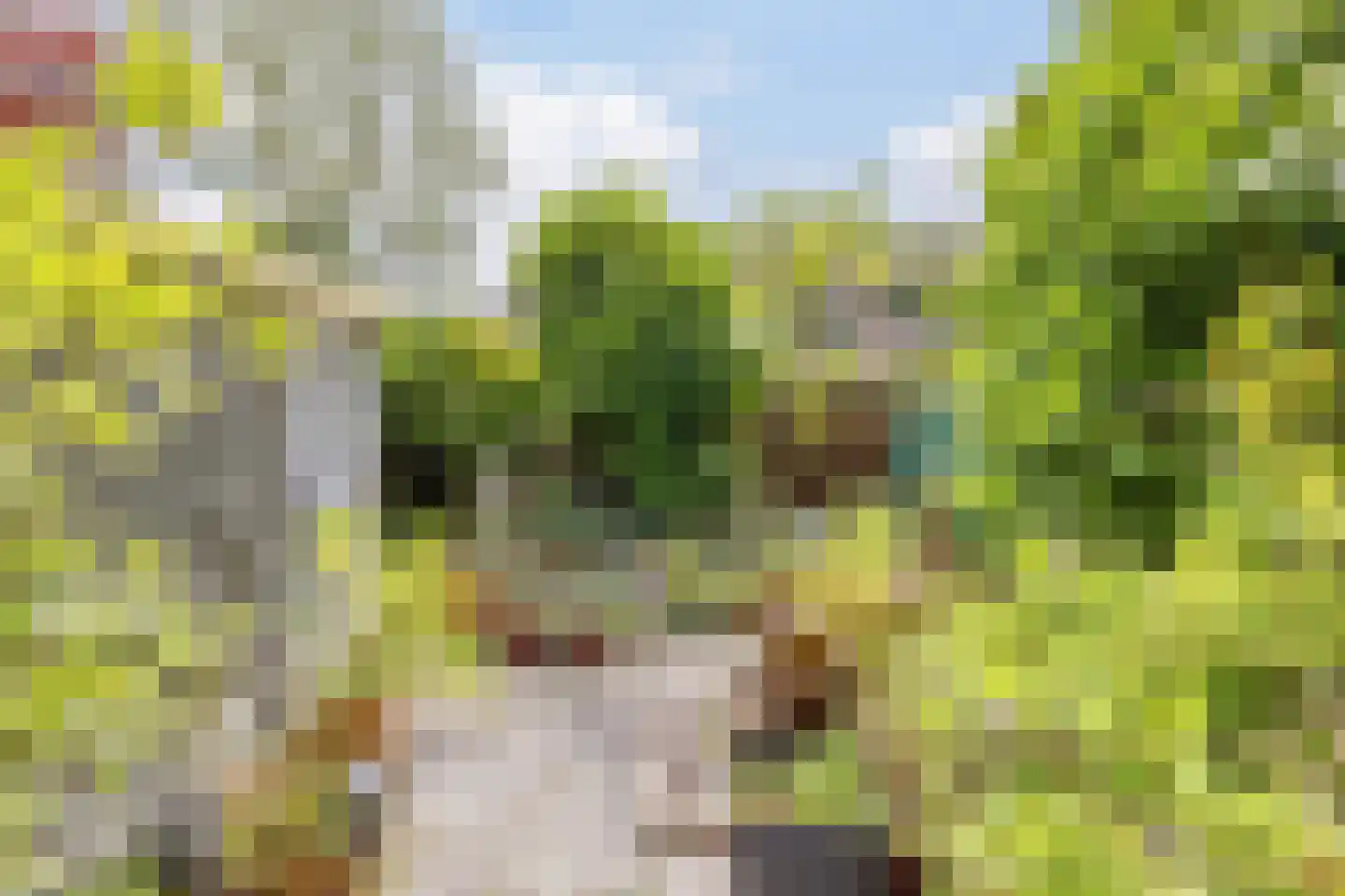 Stuiverakker 16 Koog aan de Zaan thumbnail 10