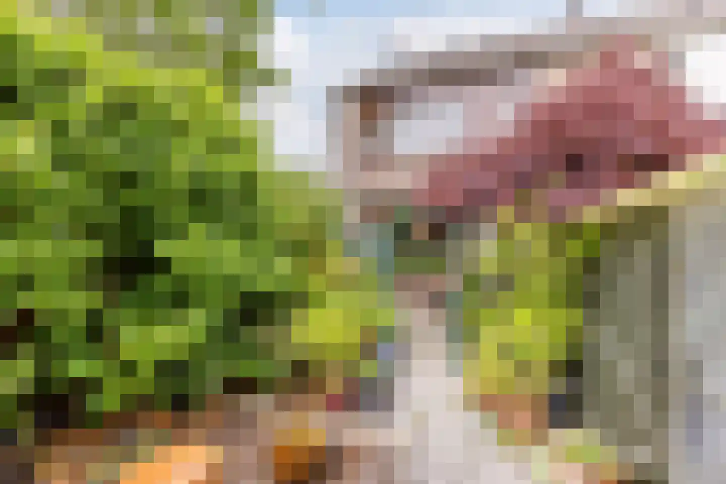 Stuiverakker 16 Koog aan de Zaan thumbnail 11