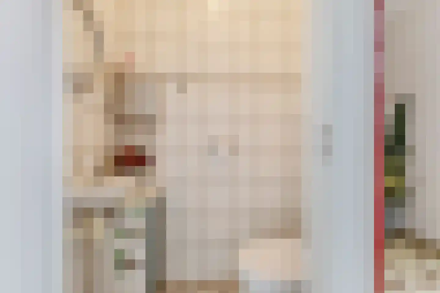 Stuiverakker 16 Koog aan de Zaan thumbnail 13