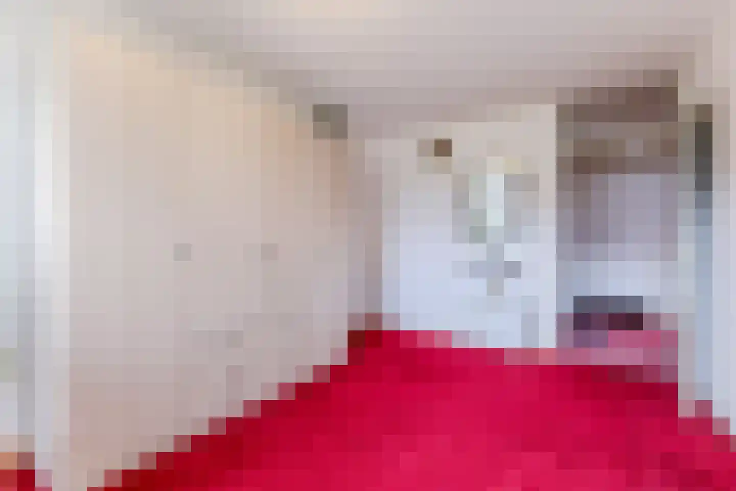 Stuiverakker 16 Koog aan de Zaan thumbnail 18