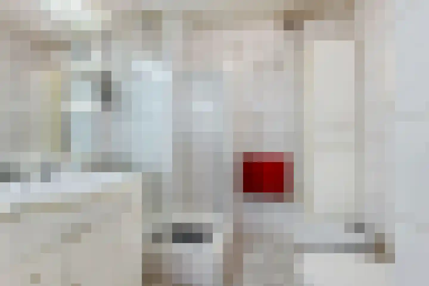 Stuiverakker 16 Koog aan de Zaan thumbnail 21