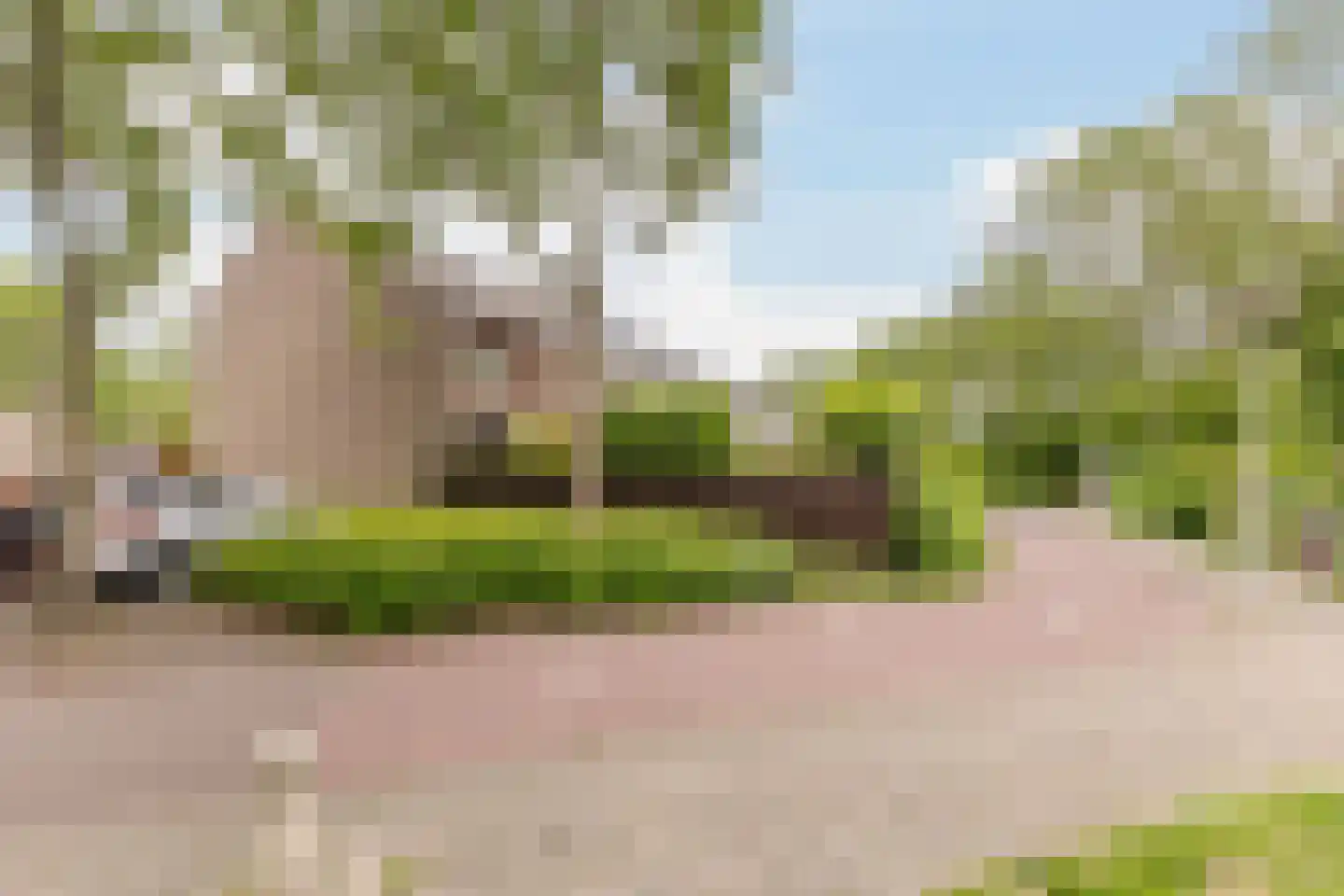 Stuiverakker 16 Koog aan de Zaan thumbnail 28