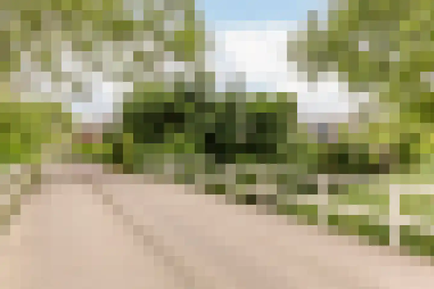 Stuiverakker 16 Koog aan de Zaan thumbnail 29