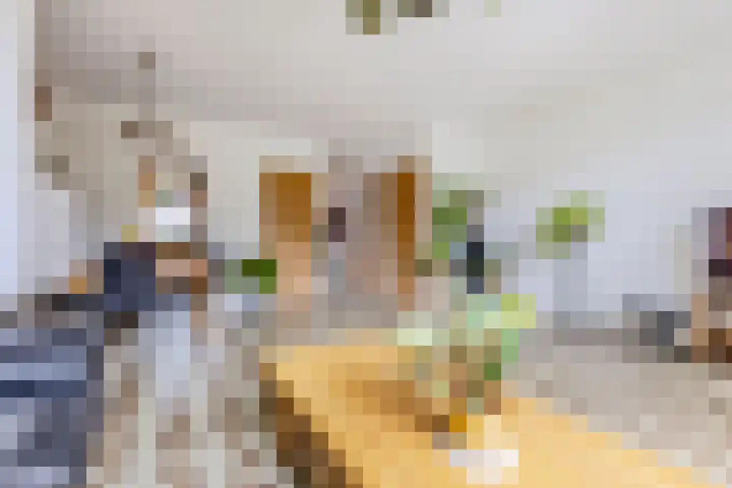 Stuiverakker 16 Koog aan de Zaan thumbnail 5