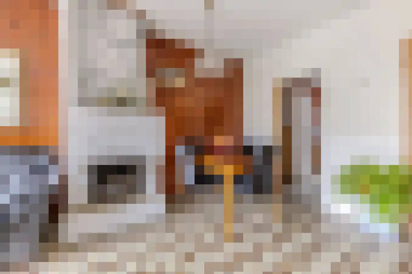 Stuiverakker 16 Koog aan de Zaan thumbnail 6