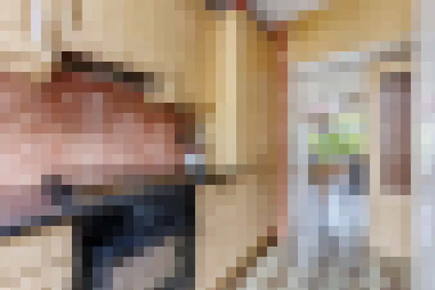 Stuiverakker 16 Koog aan de Zaan thumbnail 8