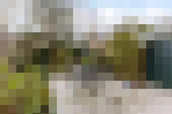Stuiverakker 24 Koog aan de Zaan thumbnail 10