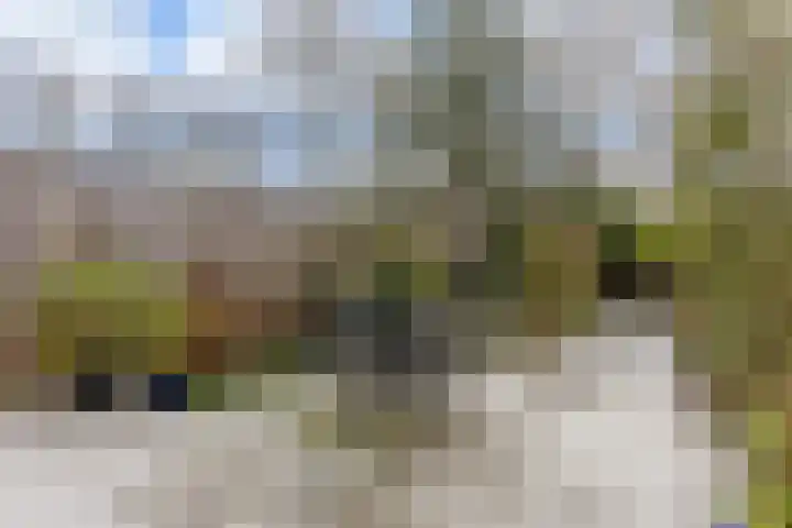 Stuiverakker 24 Koog aan de Zaan thumbnail 11