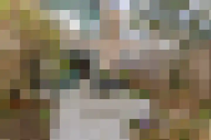 Stuiverakker 24 Koog aan de Zaan thumbnail 12