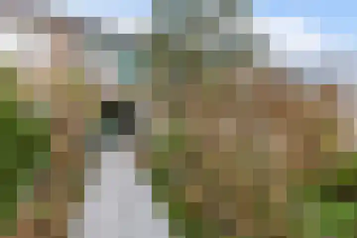 Stuiverakker 24 Koog aan de Zaan thumbnail 13
