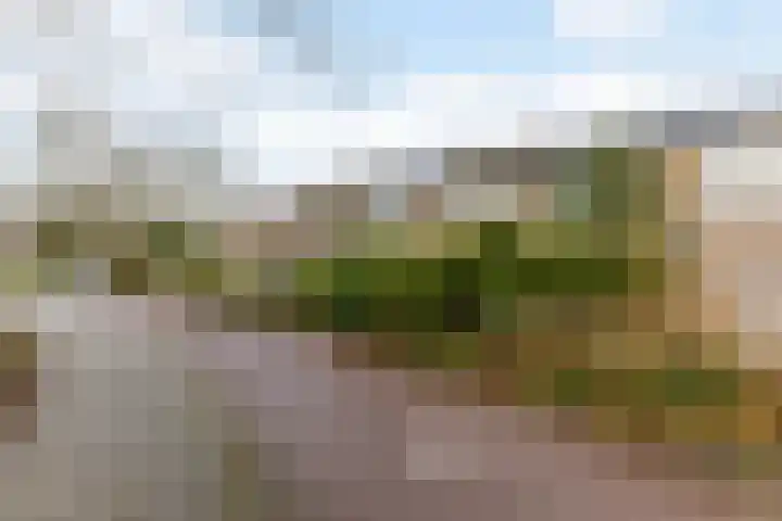 Stuiverakker 24 Koog aan de Zaan thumbnail 14