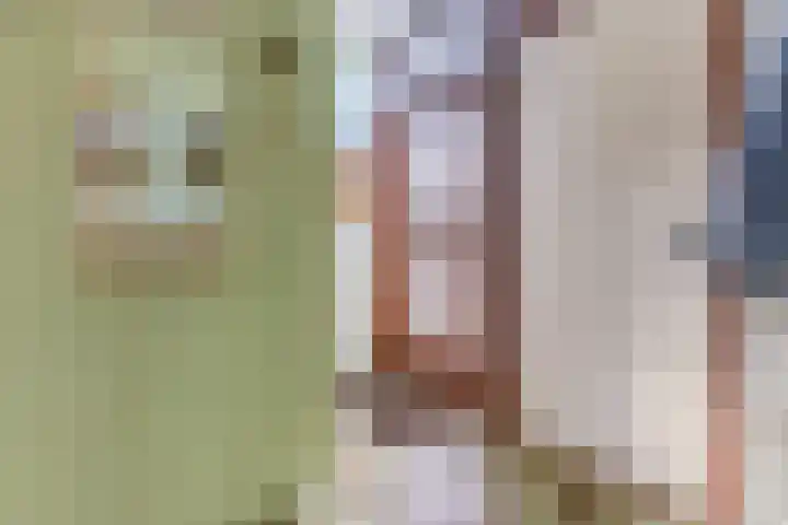 Stuiverakker 24 Koog aan de Zaan thumbnail 15