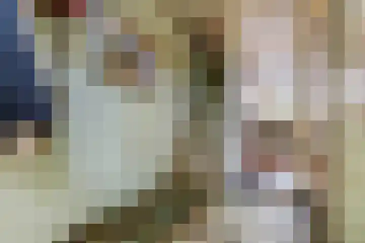 Stuiverakker 24 Koog aan de Zaan thumbnail 16