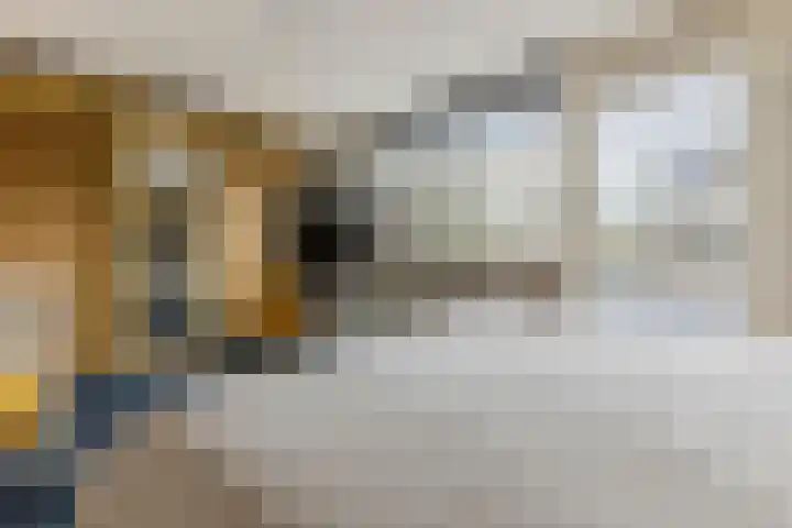 Stuiverakker 24 Koog aan de Zaan thumbnail 18