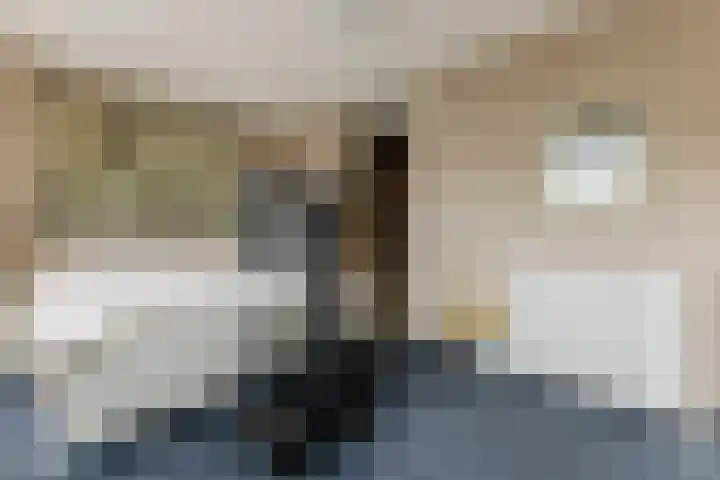 Stuiverakker 24 Koog aan de Zaan thumbnail 19