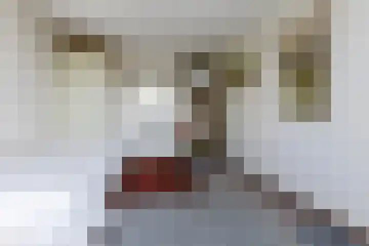 Stuiverakker 24 Koog aan de Zaan thumbnail 21