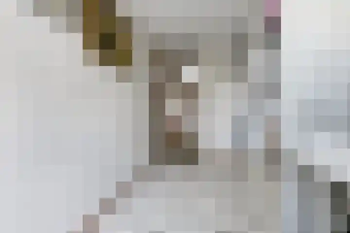 Stuiverakker 24 Koog aan de Zaan thumbnail 23
