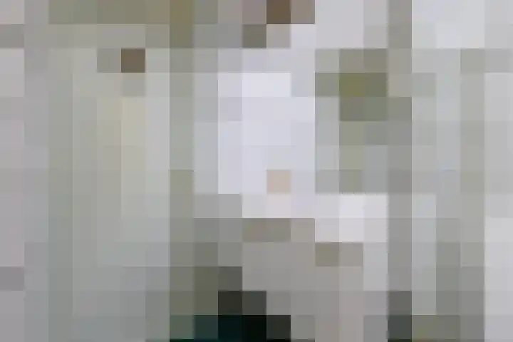 Stuiverakker 24 Koog aan de Zaan thumbnail 26