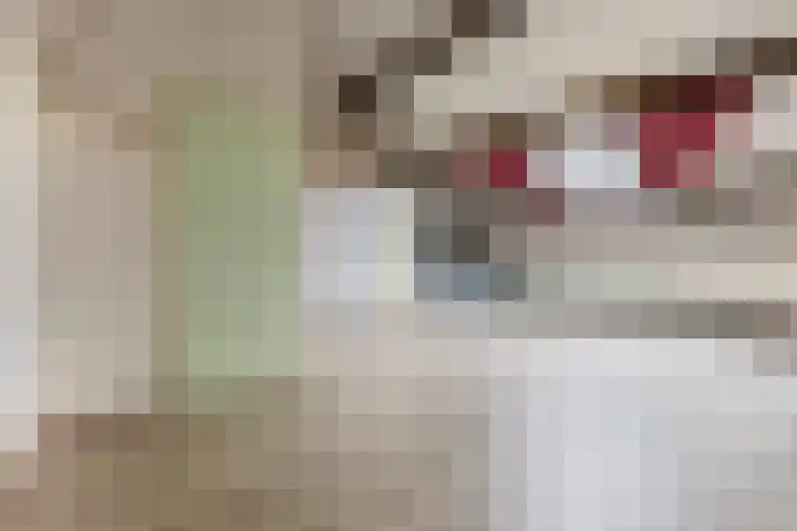 Stuiverakker 24 Koog aan de Zaan thumbnail 28
