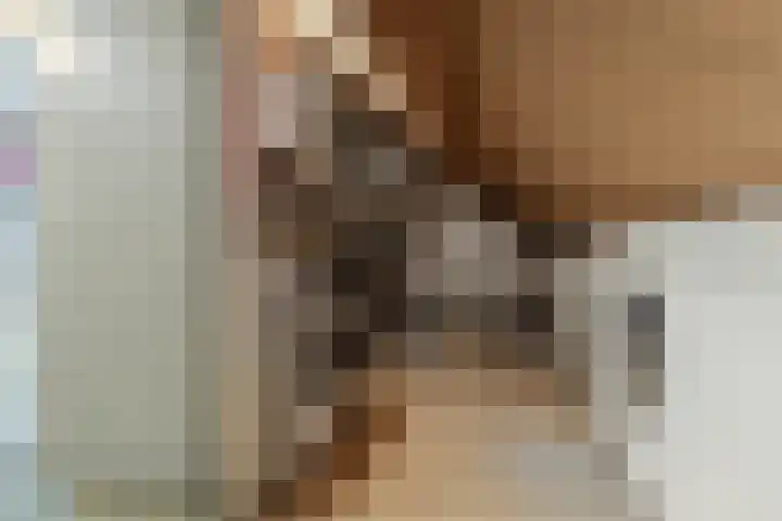 Stuiverakker 24 Koog aan de Zaan thumbnail 30