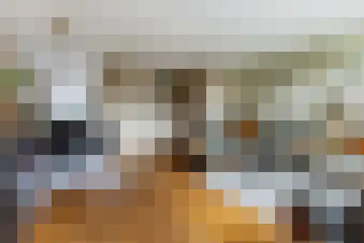 Stuiverakker 24 Koog aan de Zaan thumbnail 4