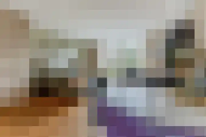 Stuiverakker 24 Koog aan de Zaan thumbnail 6