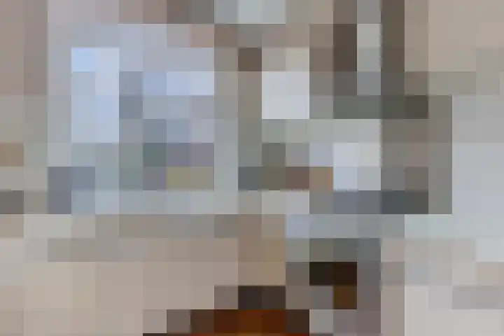 Stuiverakker 24 Koog aan de Zaan thumbnail 8