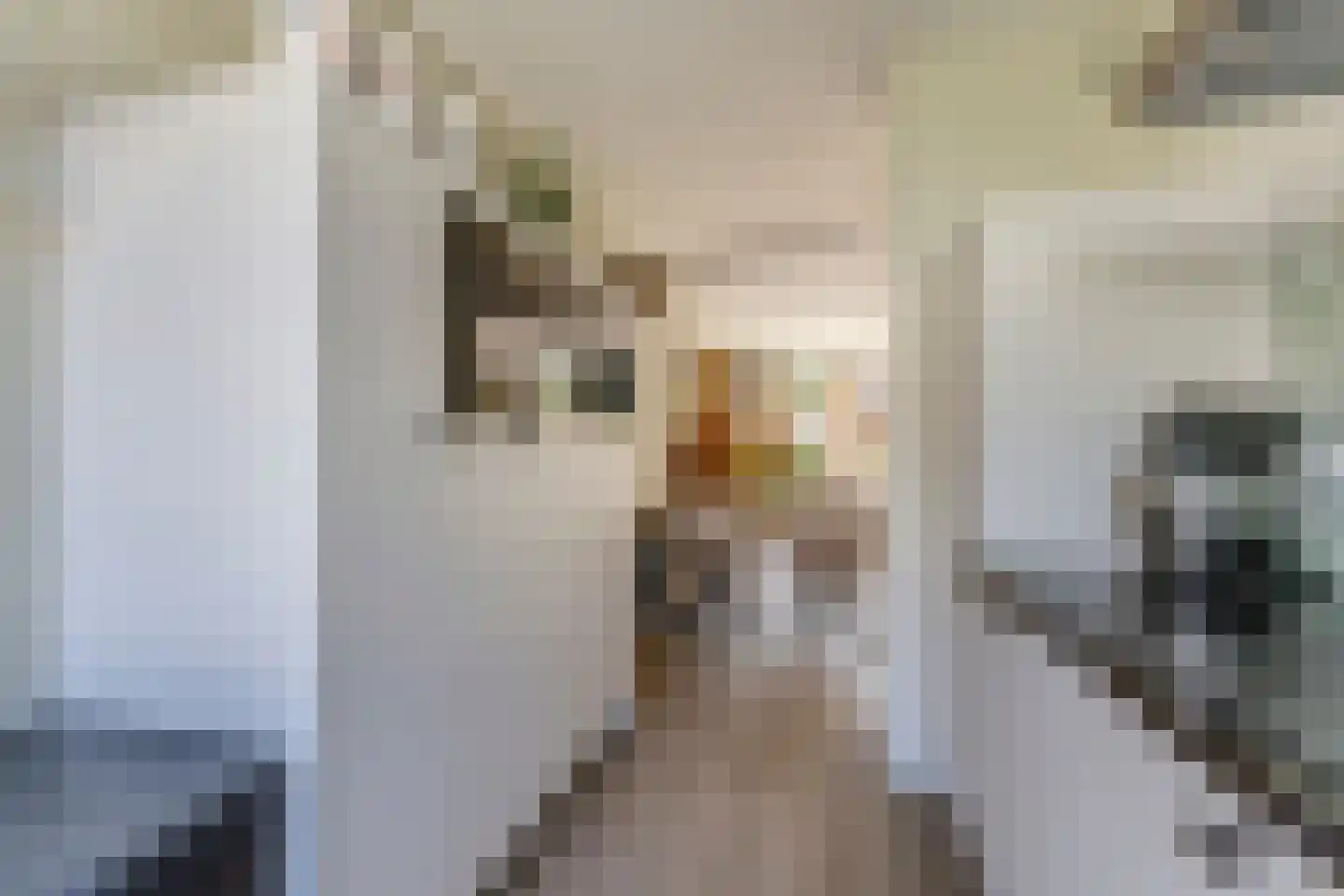 Stuiverakker 26 Koog aan de Zaan thumbnail 11