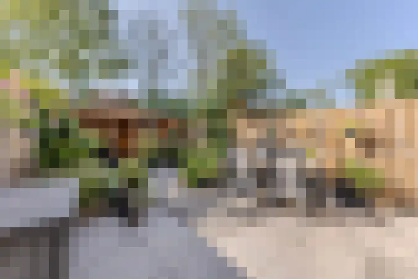 Stuiverakker 26 Koog aan de Zaan thumbnail 12