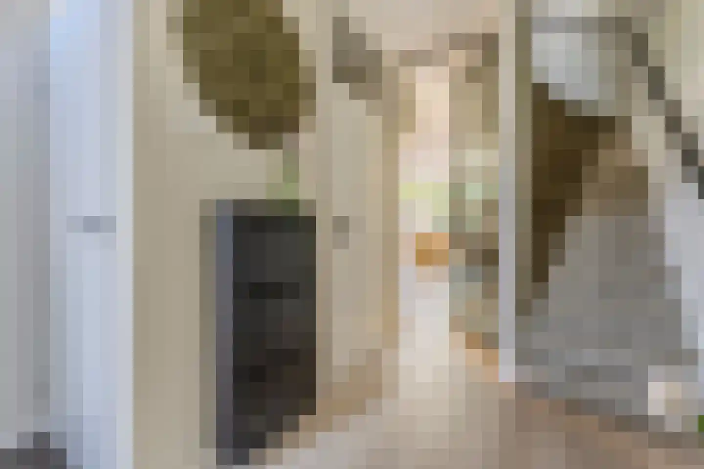Stuiverakker 26 Koog aan de Zaan thumbnail 15