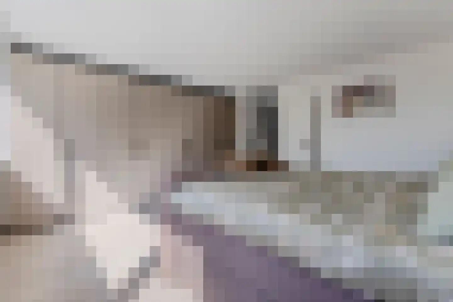 Stuiverakker 26 Koog aan de Zaan thumbnail 20