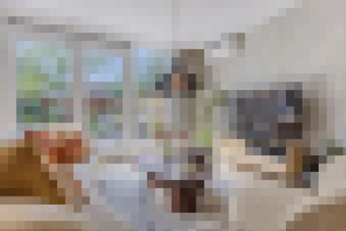 Stuiverakker 26 Koog aan de Zaan thumbnail 4