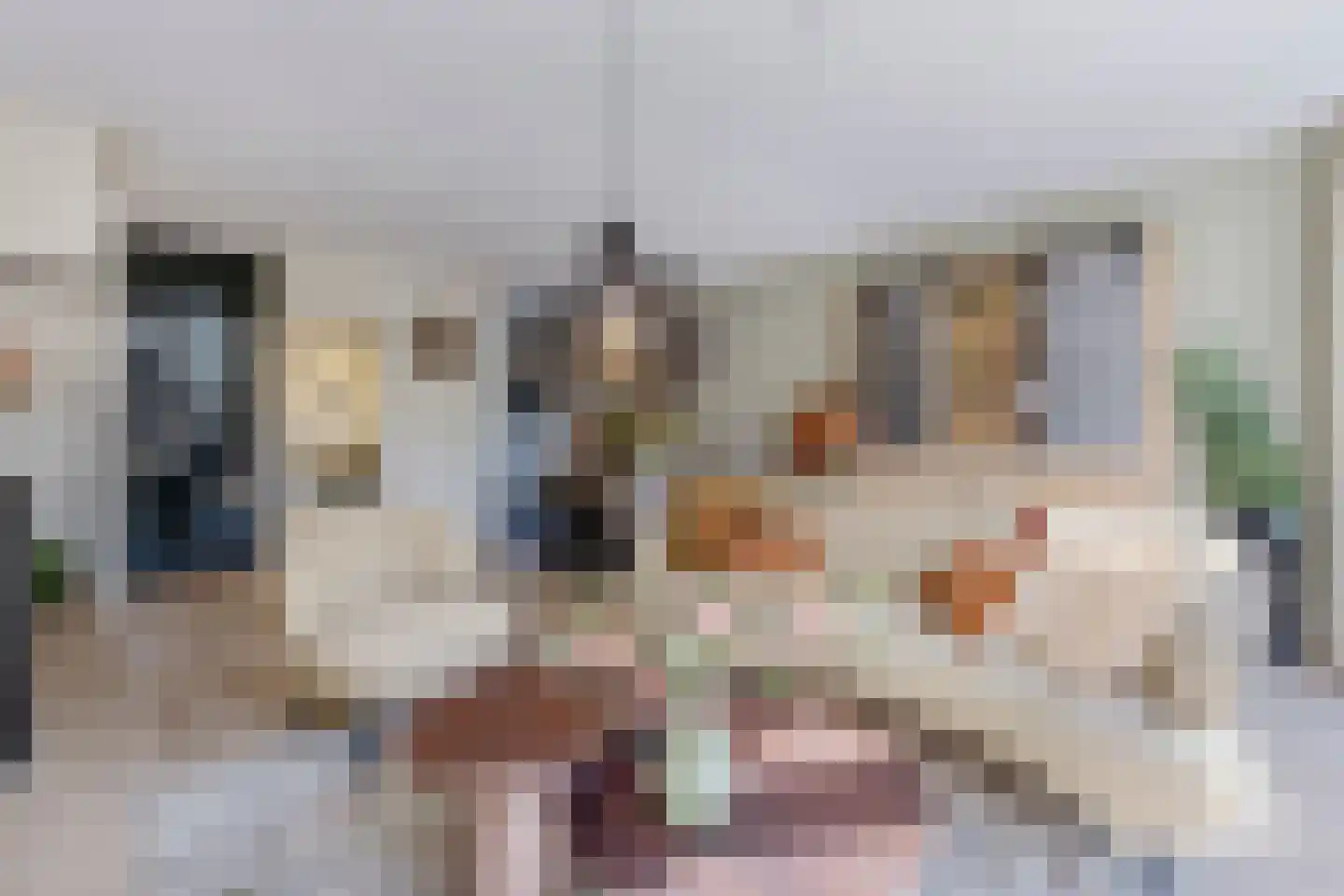 Stuiverakker 26 Koog aan de Zaan thumbnail 5